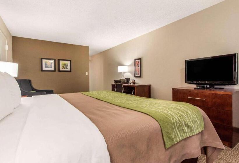 Стандартный Номер Кровать Кинг, Comfort Inn & Suites Omaha Central
