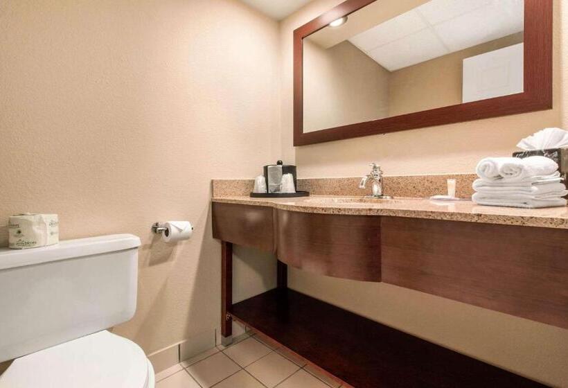 Люкс, Comfort Inn & Suites Omaha Central