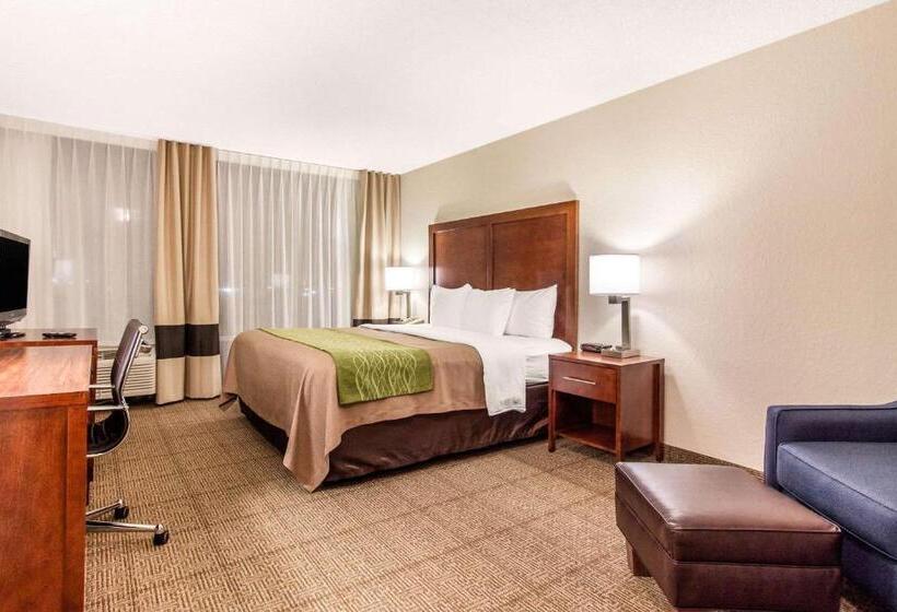Люкс, Comfort Inn & Suites Omaha Central