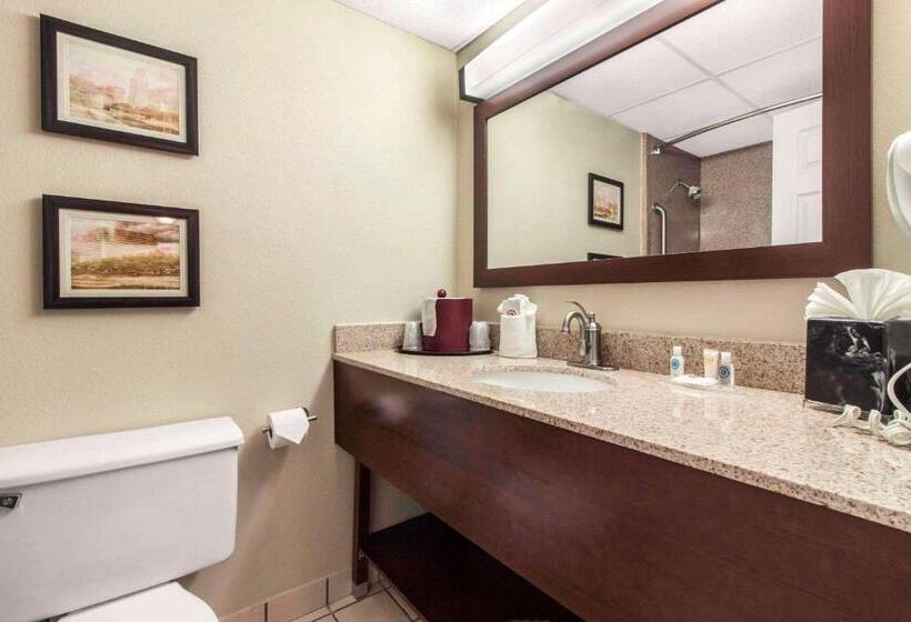 Люкс Кровать Кинг, Comfort Inn & Suites Omaha Central