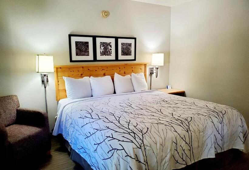 Стандартный Номер Кровать Кинг, Days Inn And Suites By Wyndham Downtown Missoulauniversity