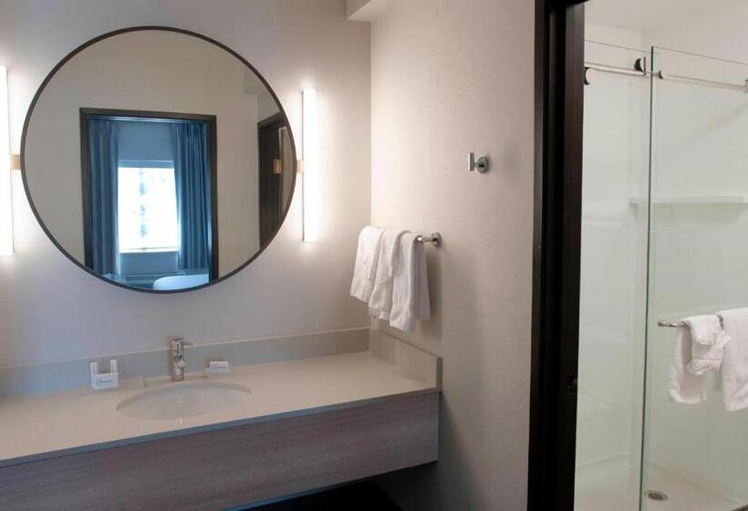 Люкс Executive Кровать Кинг, Fairfield Inn & Suites By Marriott Spokane Valley