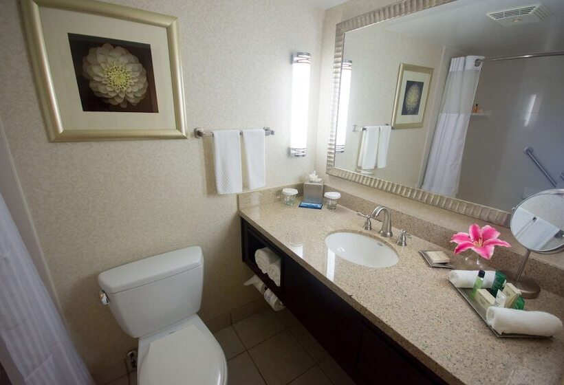 Superior Oda, Hilton Palm Beach Pbi