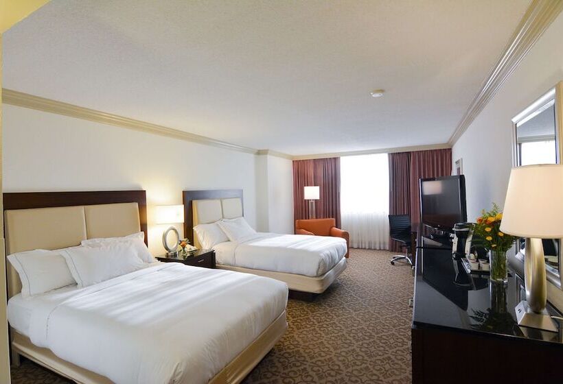 Superior Oda, Hilton Palm Beach Pbi