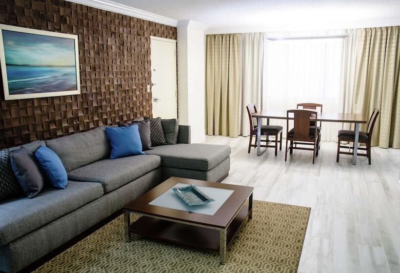 Executive Süit, Hilton Palm Beach Pbi
