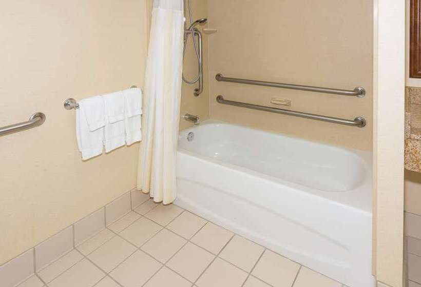 Engelliler için Standart Oda, Hilton Palm Beach Pbi