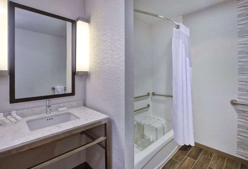 Standart Oda, Hilton Palm Beach Pbi