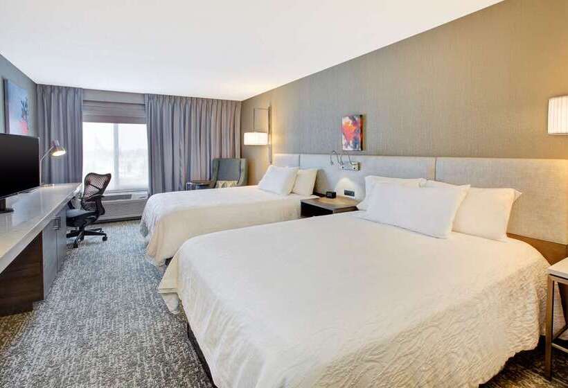 Standart Oda, Hilton Palm Beach Pbi