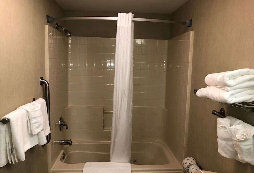 Номер Стандарт 2 Двуспальные Кровати, Quality Inn & Suites Skyways