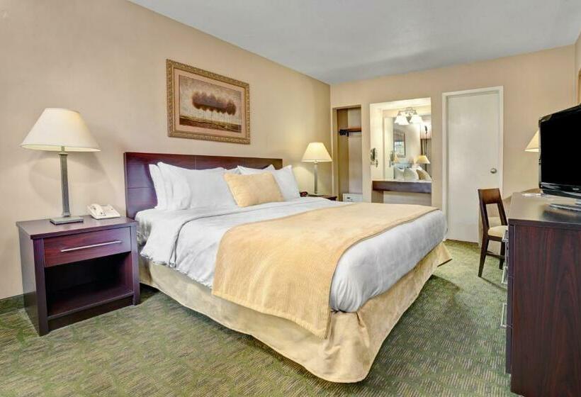 Chambre Standard Lit King Size, Travelodge By Wyndham Presidio San Francisco