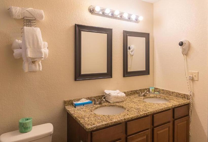 Номер Стандарт, Cottonwood Suites Savannah Hotel & Conference Center