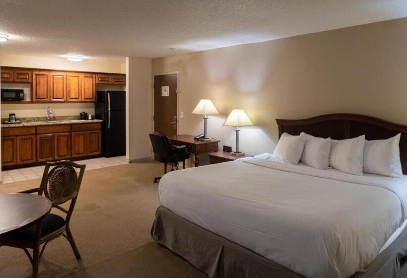 Люкс Deluxe Кровать Кинг, Cottonwood Suites Savannah Hotel & Conference Center