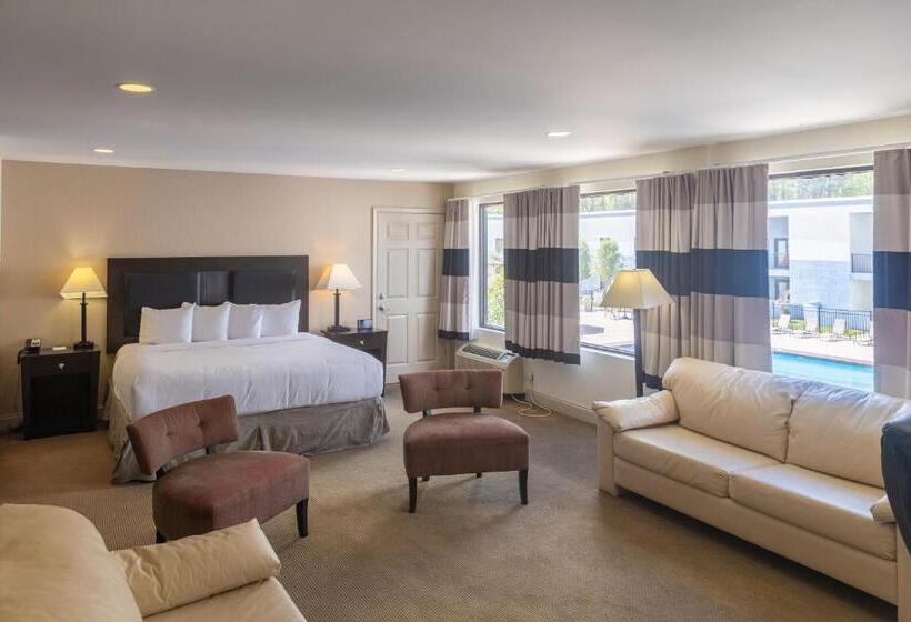Люкс Deluxe Кровать Кинг, Cottonwood Suites Savannah Hotel & Conference Center