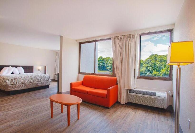 Люкс Кровать Кинг, Americas Best Value Inn Winston Salem, Nc