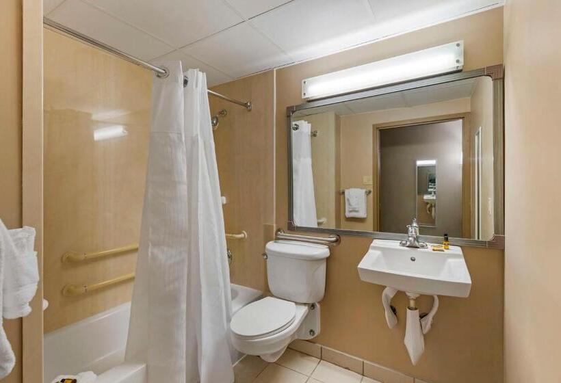 스탠다드 룸 킹사이즈 침대, Best Western Plus The Charles