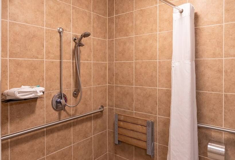 Номер Стандарт, Cottonwood Suites Savannah Hotel & Conference Center