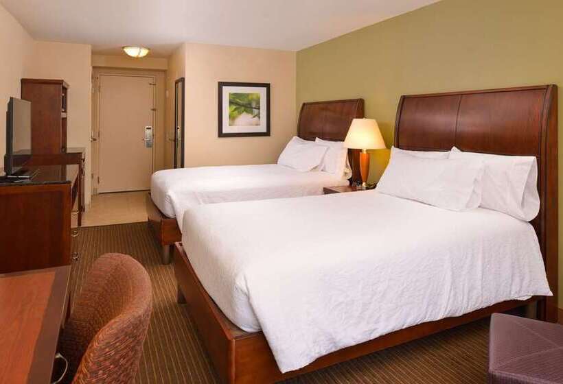 Номер Стандарт 2 Двуспальные Кровати, Hilton Los Angeles/universal City