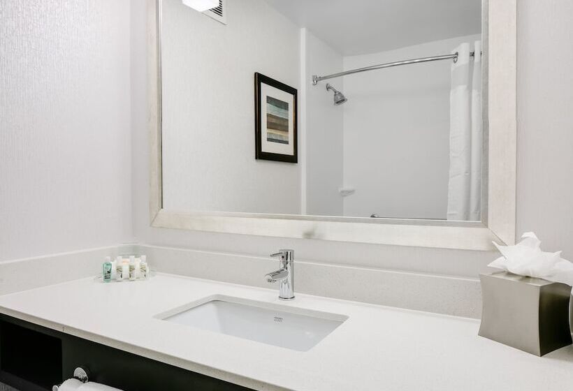 스탠다드 룸, Holiday Inn Hotel & Suites Overland Park West, An Ihg