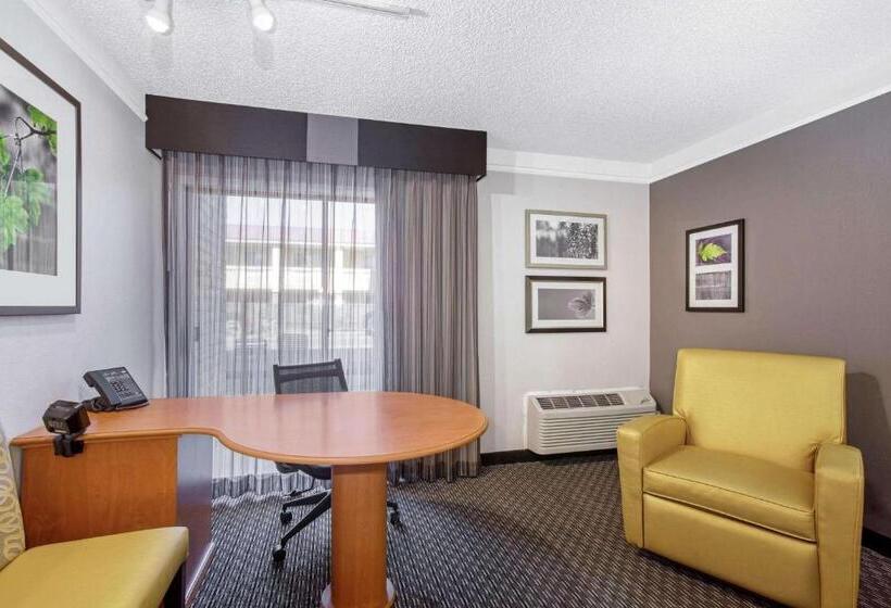 스탠다드 룸 킹사이즈 침대, La Quinta Inn By Wyndham Tucson East