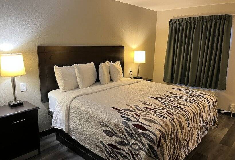 适用于残疾人士的豪华房间, Red Roof Inn Kimball, Tn I 24