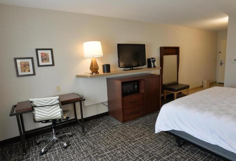 Номер Стандарт Кровать Кинг Адаптированный для Инвалидов, Holiday Inn Hotel & Suites Minneapolis Lakeville, An Ihg