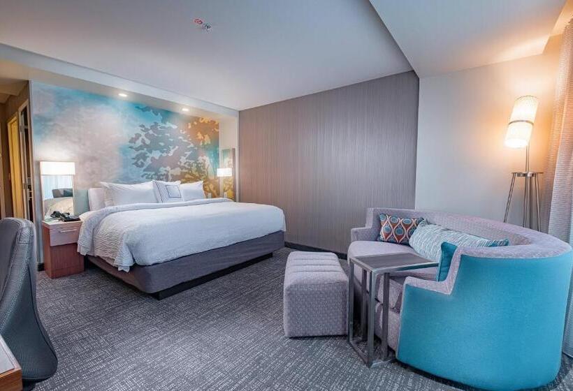 Стандартный Номер Кровать Кинг, Courtyard By Marriott Toledo West