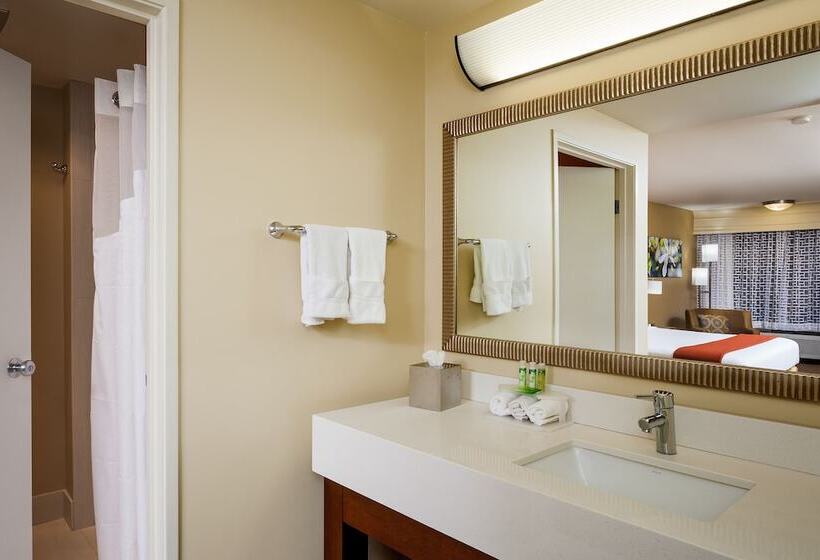 스탠다드 룸, Holiday Inn Express Simi Valley, An Ihg