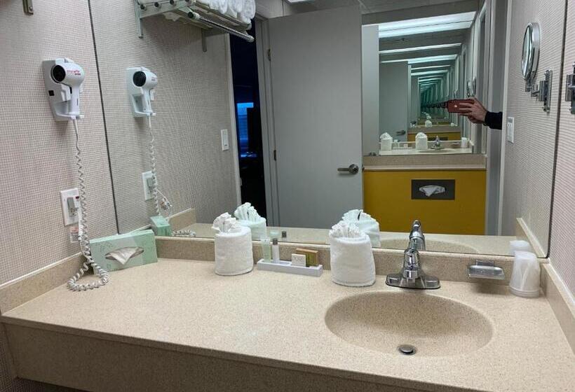 带大床的套房, Split Rock Resort