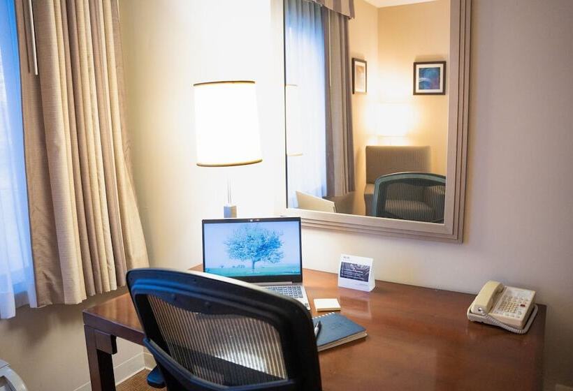 Номер Стандарт 2 Двуспальные Кровати, Delta Hotels By Marriott Toledo