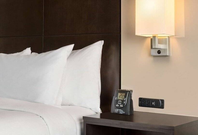 Полулюкс, Doubletree By Hilton Hotel Wichita Airport