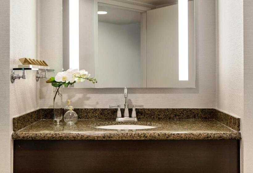 اتاق استاندارد با تخت بزرگ, Renaissance Palm Springs