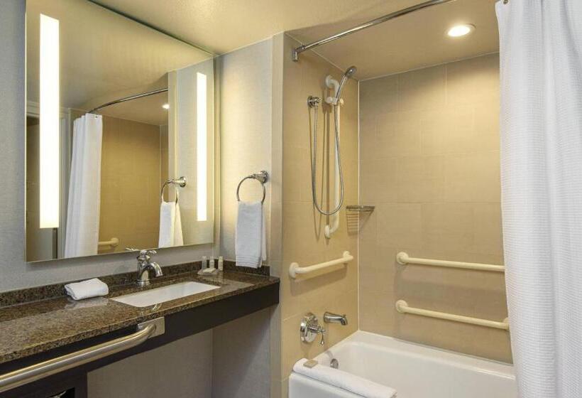اتاق استاندارد با چشم‌انداز استخر, Renaissance Palm Springs