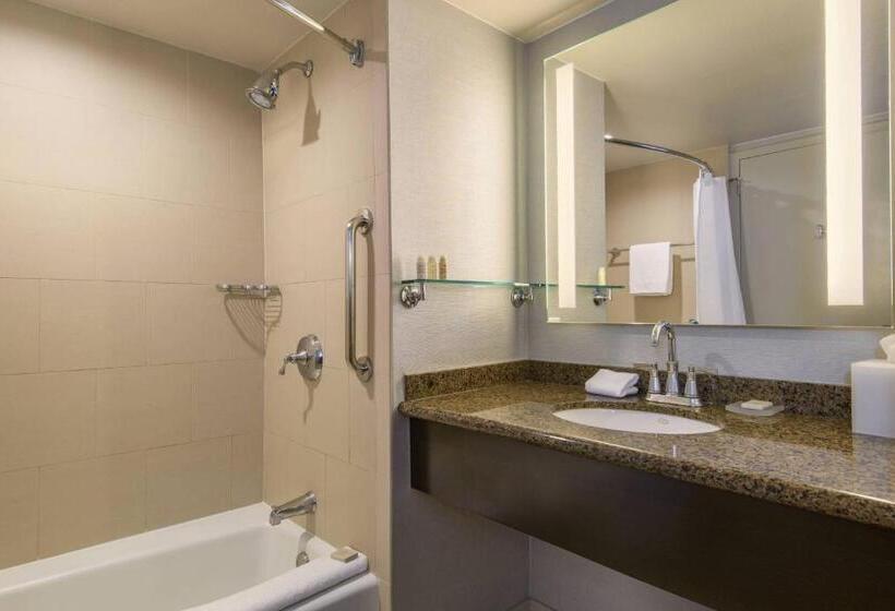 سوئیت جونیور با تخت بزرگ, Renaissance Palm Springs