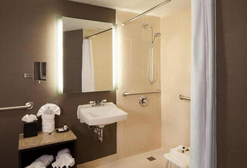 带大床的标准间, Sheraton Bucks County Langhorne