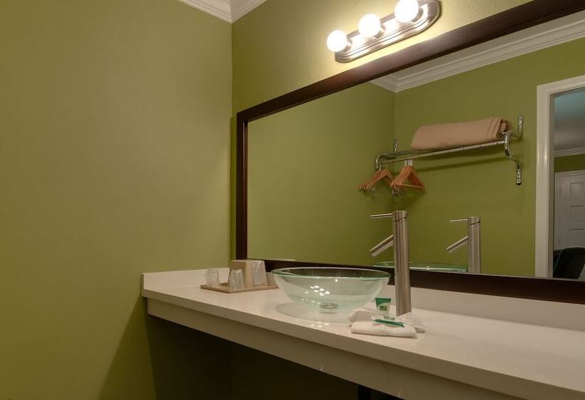 Номер Премиум, Vagabond Inn San Pedro