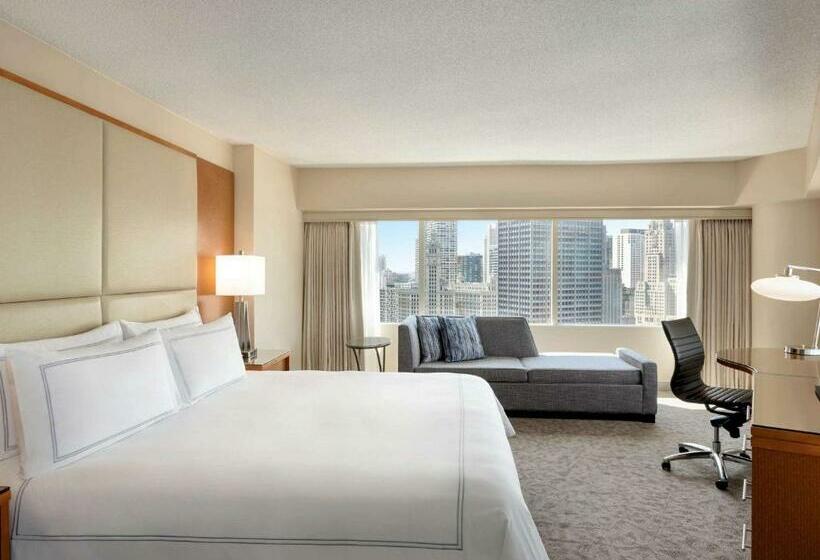 Номер Стандарт Кровать Кинг Адаптированный для Инвалидов, Swissôtel Chicago