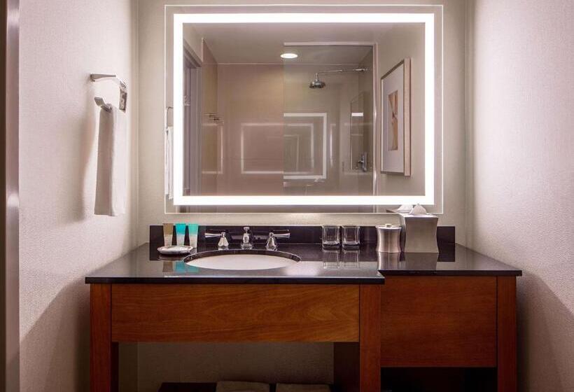 Номер Стандарт 2 Двуспальные Кровати, Hyatt Regency Crystal City At Reagan National Airport