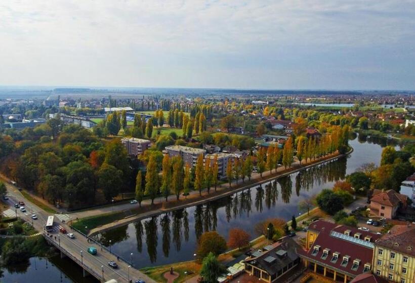Апартаменты 1 Спальня с Балконом, Slavonija