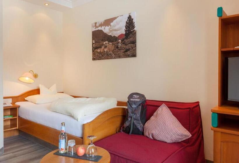 اتاق عادی یک تخته, Family & Sporthotel Kärntnerhof