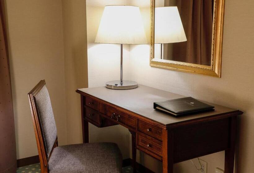 Номер Стандарт, Premier Hotel  Tsubaki  Sapporo