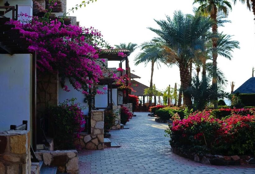 اتاق استاندارد, Steigenberger Hotel & Nelson Village, Taba