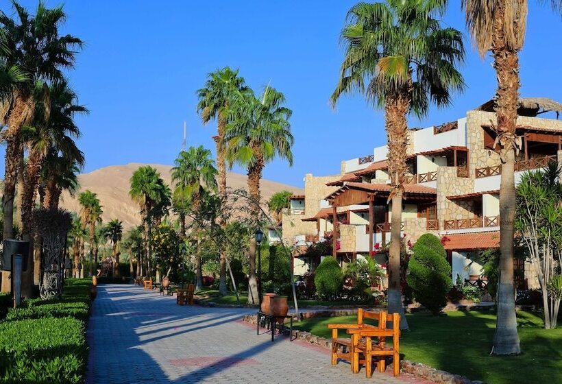 اتاق استاندارد, Steigenberger Hotel & Nelson Village, Taba