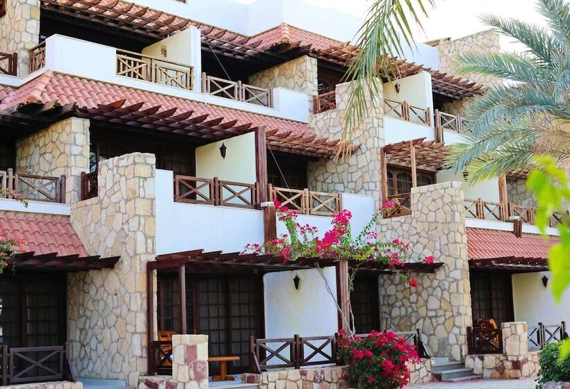 سوییت اجرایی, Steigenberger Hotel & Nelson Village, Taba