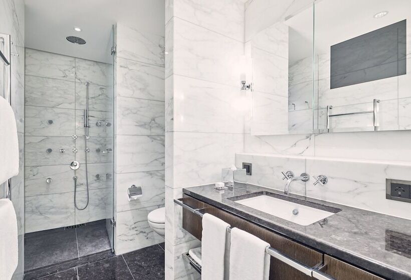 スーペリアシングルルーム, The Dolder Grand   City And Spa Resort Zurich