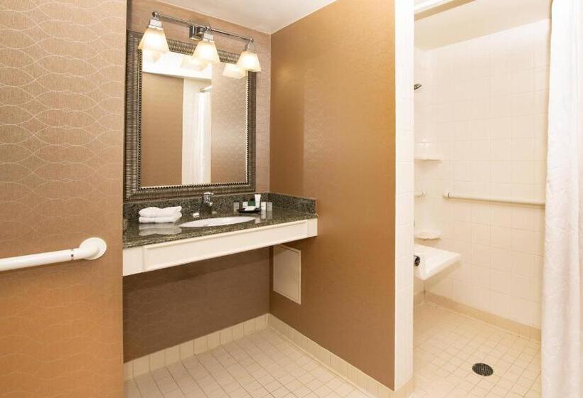 带大床的标准间, Sheraton Hartford South