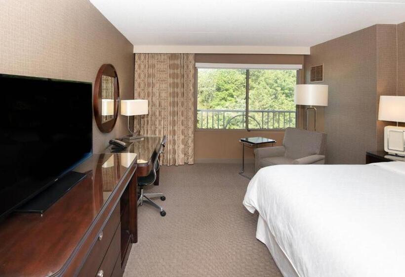 带大床的标准间, Sheraton Hartford South