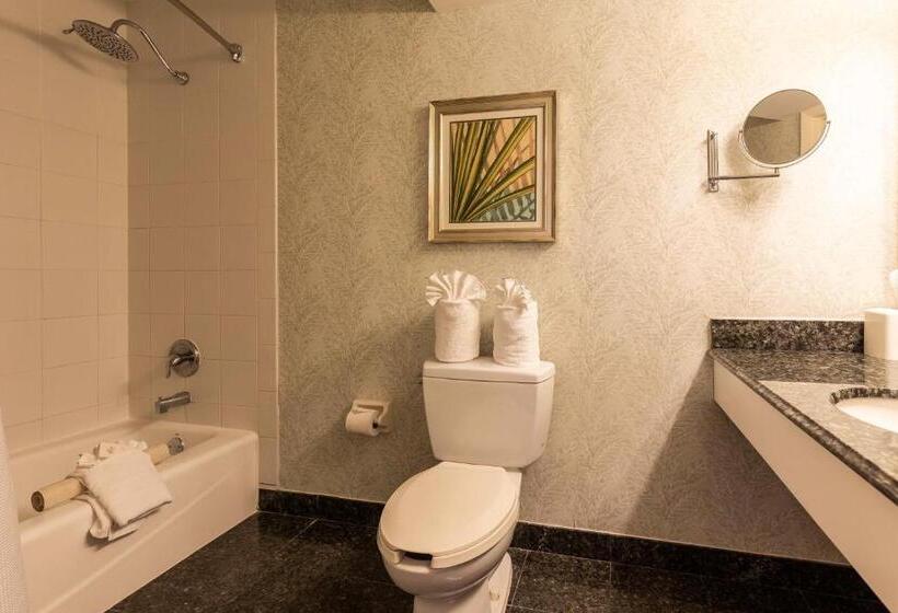 プールビュースイート, The Lago Mar Beach Resort And Club