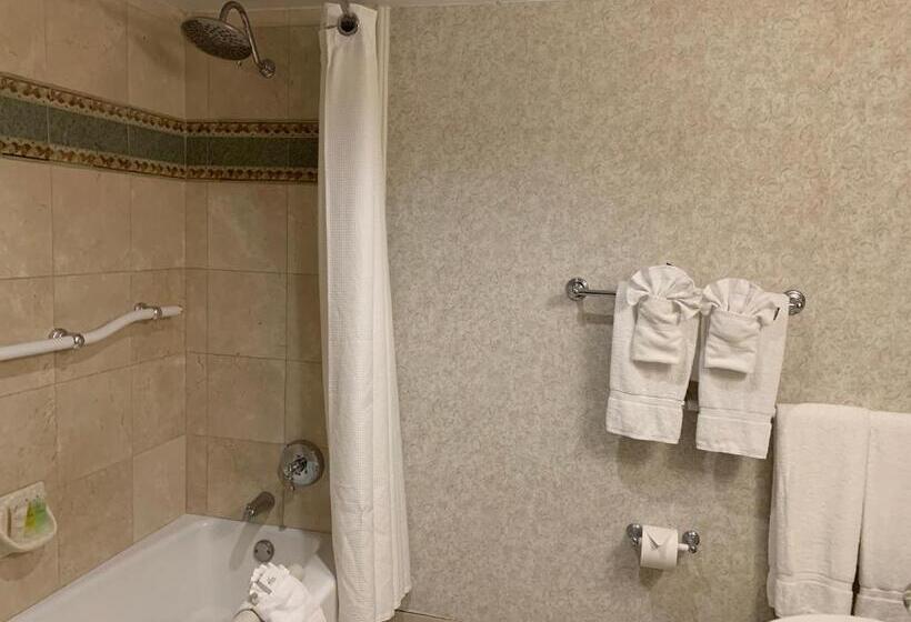 Стандартный Номер Кровать Кинг, The Lago Mar Beach Resort And Club