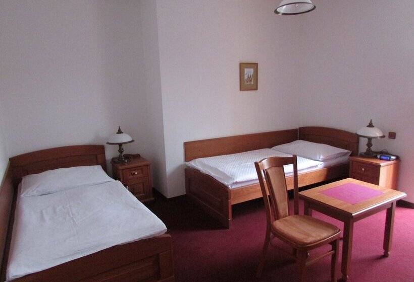 Номер Стандарт, Pegas Brno