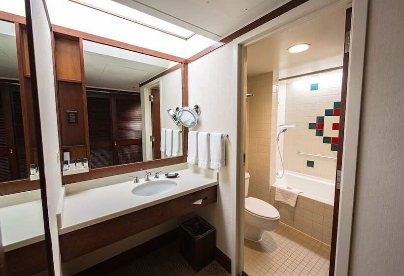 Номер Deluxe, Alyeska Resort